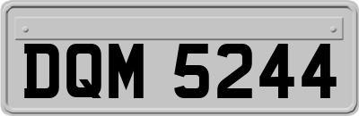 DQM5244