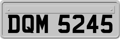 DQM5245