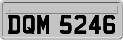 DQM5246