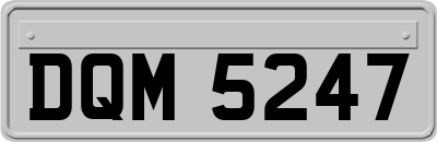 DQM5247