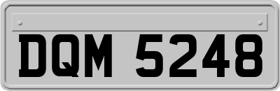 DQM5248
