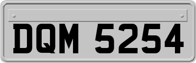 DQM5254