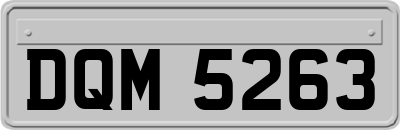 DQM5263
