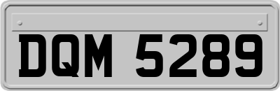 DQM5289