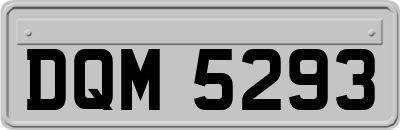 DQM5293