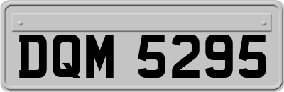DQM5295