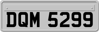 DQM5299