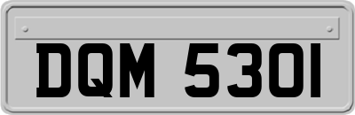 DQM5301