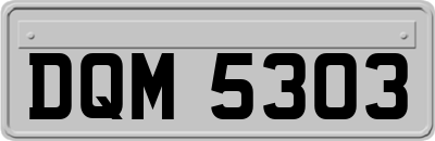 DQM5303