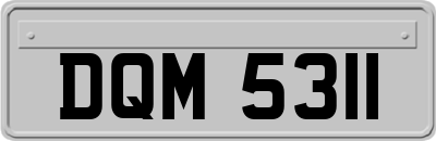 DQM5311