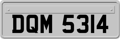 DQM5314