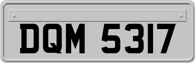 DQM5317