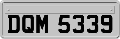 DQM5339