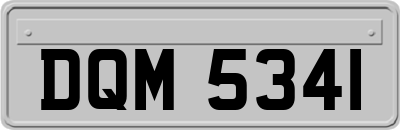 DQM5341
