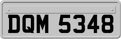 DQM5348