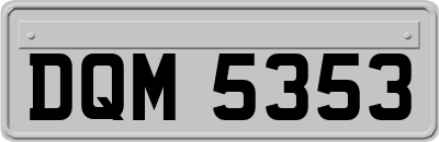 DQM5353