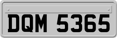 DQM5365
