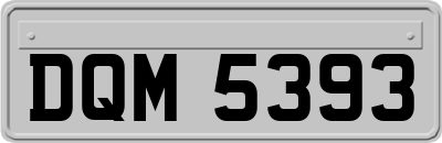 DQM5393