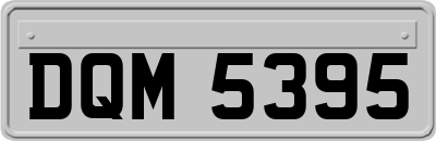 DQM5395