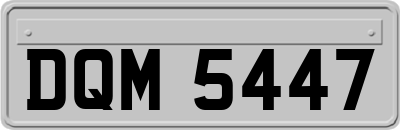 DQM5447