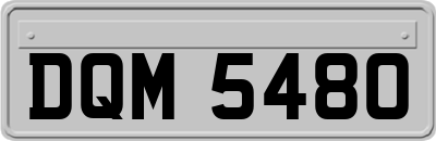 DQM5480