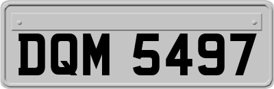 DQM5497