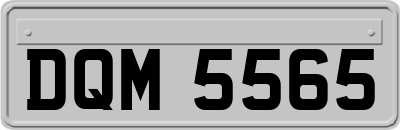 DQM5565