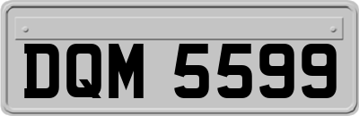 DQM5599