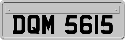 DQM5615