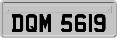 DQM5619