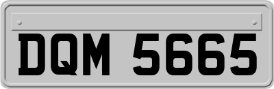 DQM5665