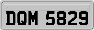 DQM5829