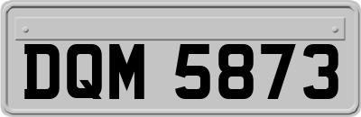 DQM5873
