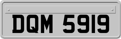 DQM5919