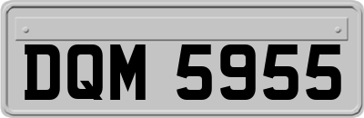DQM5955