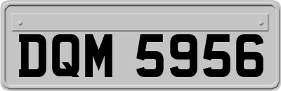 DQM5956