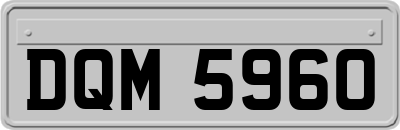 DQM5960