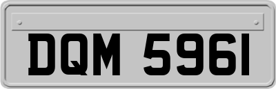 DQM5961