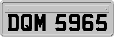 DQM5965