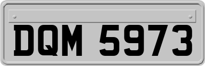 DQM5973