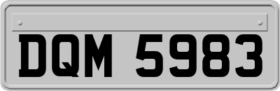 DQM5983