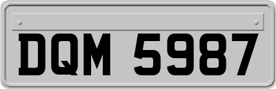 DQM5987
