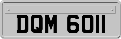 DQM6011