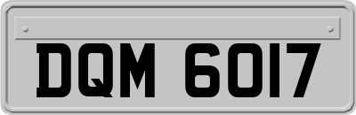 DQM6017