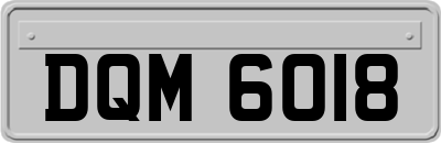 DQM6018