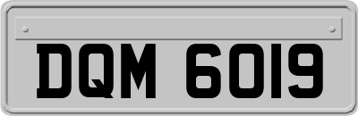 DQM6019