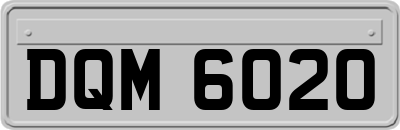 DQM6020