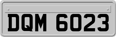 DQM6023