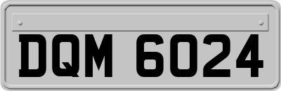 DQM6024