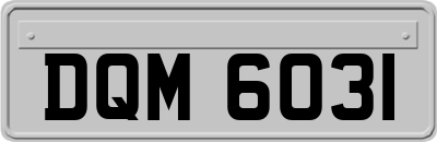 DQM6031